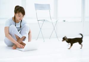 大切な愛犬のグッズ選びをするなら