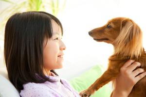 愛犬の健康を守る！おすすめ療法食と選び方ガイド